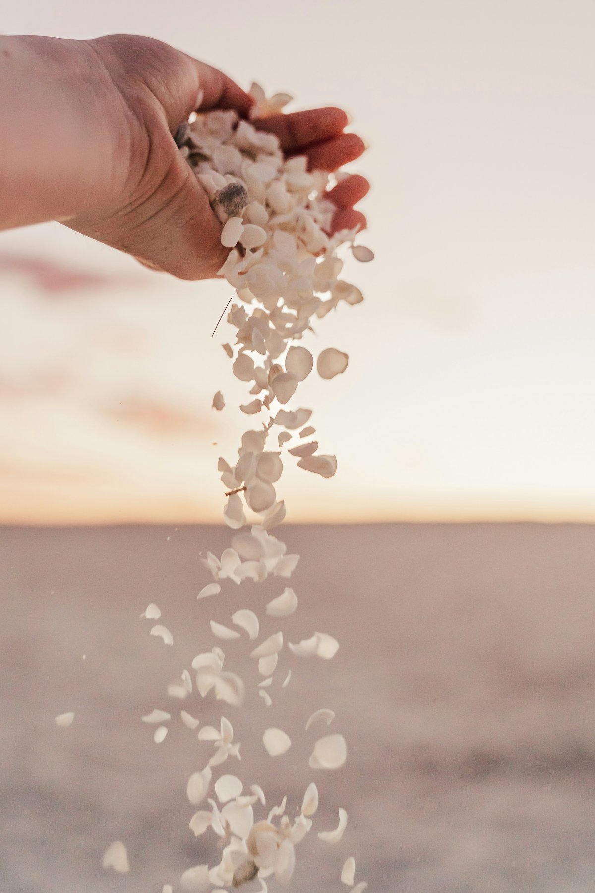 Savasana, letting go and death 